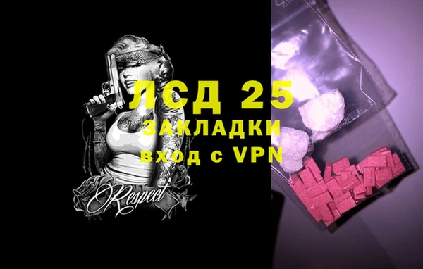 индика Надым