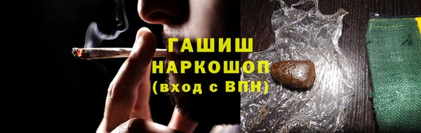индика Надым
