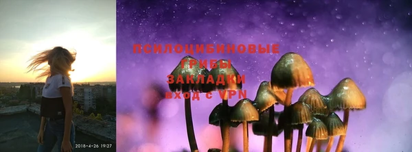 шишки Навашино