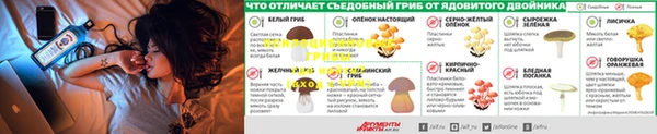 дмт Наволоки