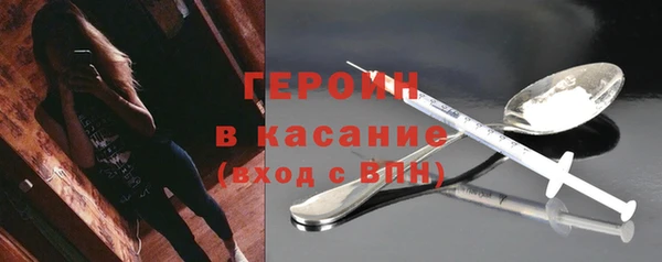 индика Надым
