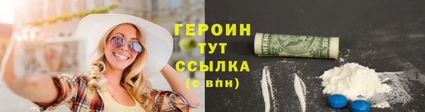 индика Надым