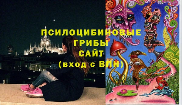 ALPHA PVP Нефтегорск