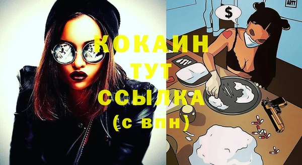 индика Надым