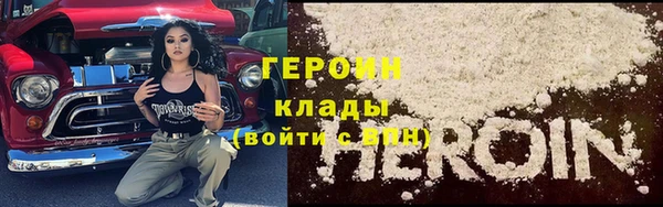 индика Надым