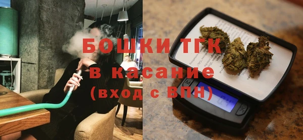 индика Надым