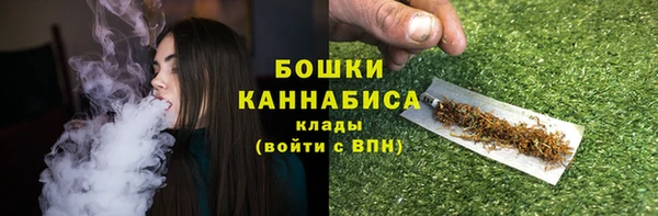 индика Надым