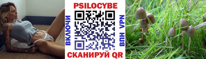 Галлюциногенные грибы Cubensis  MEGA tor  Никольск 